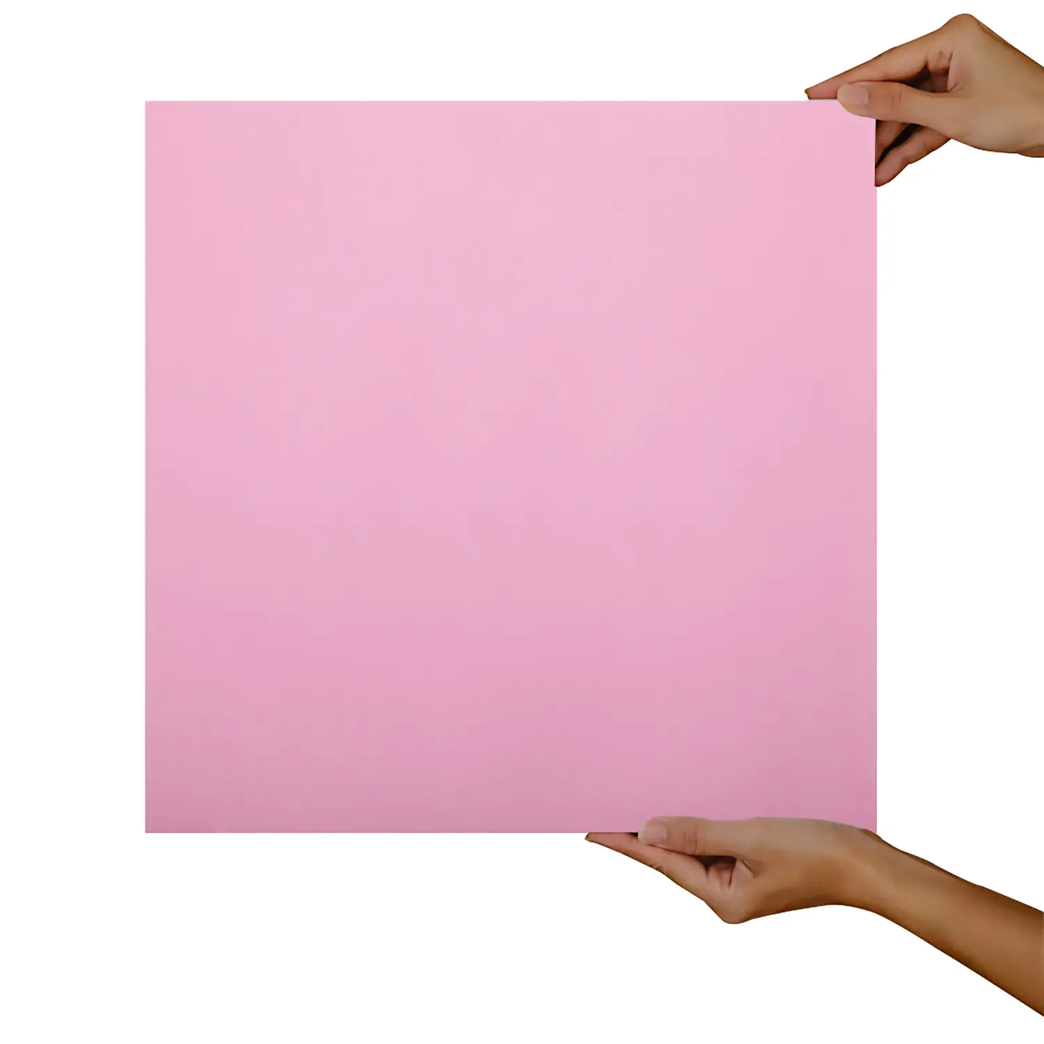 CARTA VELINA ROSA - Carta e cartoncino