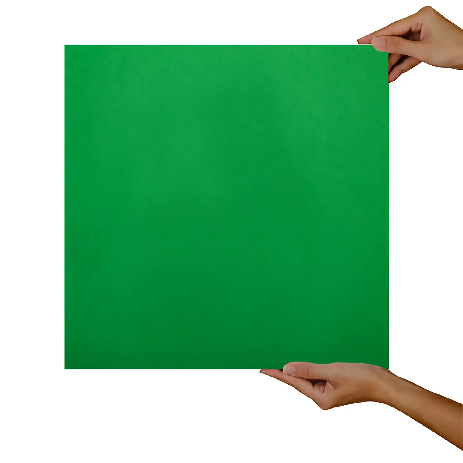 Carta Velina Verde Prato - 24 Fogli 50x70 cm - Carta e cartoncino