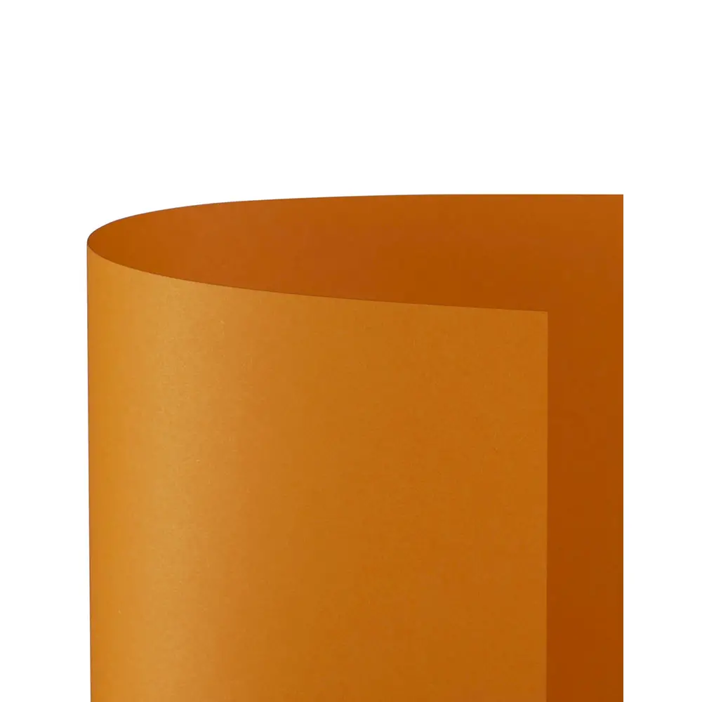 Cartoncino Bristol Liscio 200 gr - 25 Fogli 50x70 cm - Arancio - Carta e cartoncino