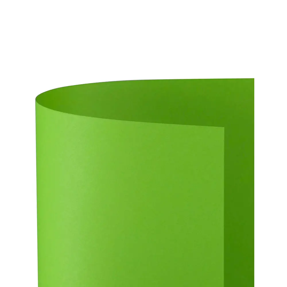 Cartoncino Bristol Liscio 200 gr - 25 Fogli 50x70 cm - Pistacchio - Carta e cartoncino