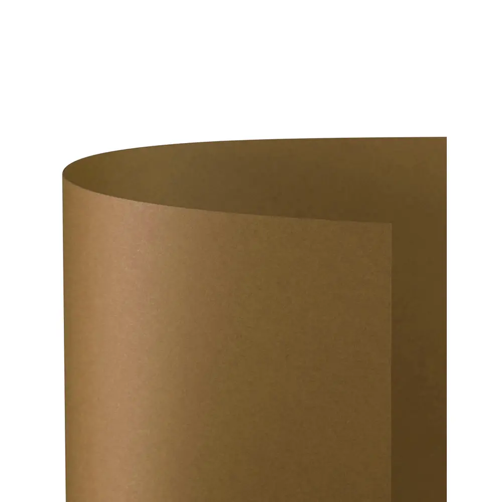 Cartoncino Bristol Liscio 200 gr - 25 Fogli 50x70 cm - Cacao - Carta e cartoncino