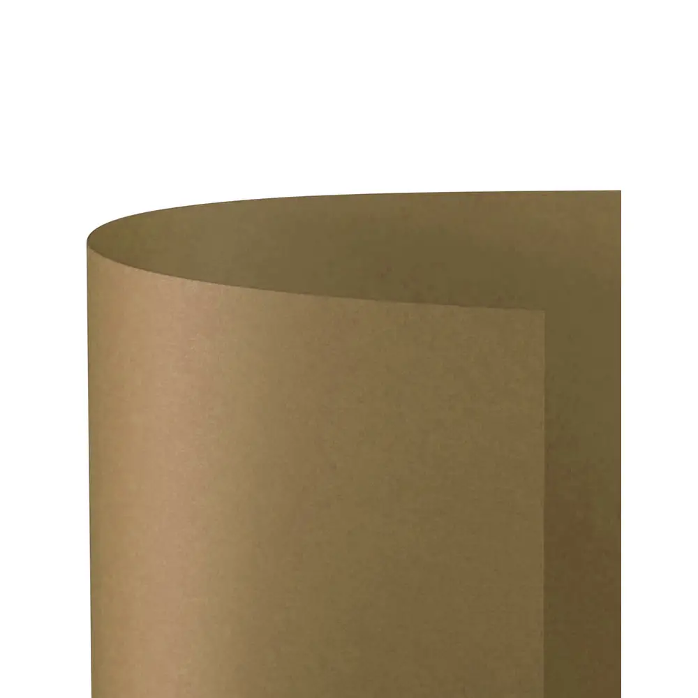 Cartoncino Bristol Liscio 200 gr - 25 Fogli 50x70 cm - Camoscio - Carta e cartoncino