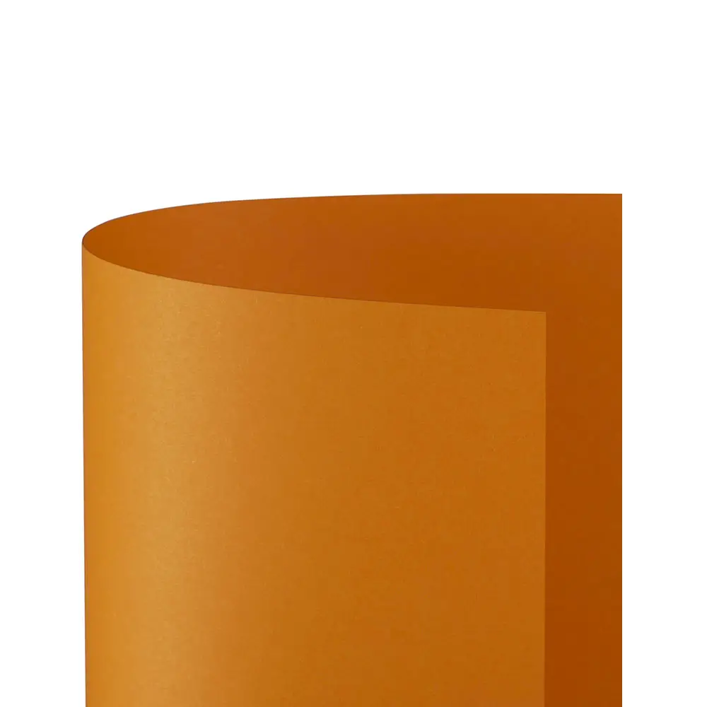 Cartoncino Bristol Liscio 200 gr - 10 Fogli 70x100 cm - Arancio - Carta e cartoncino