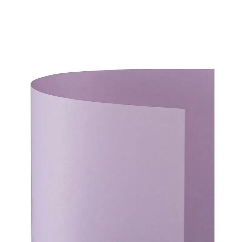 Cartoncino Bristol Liscio 200 gr - 10 Fogli 70x100 cm - Lilla - Carta e cartoncino
