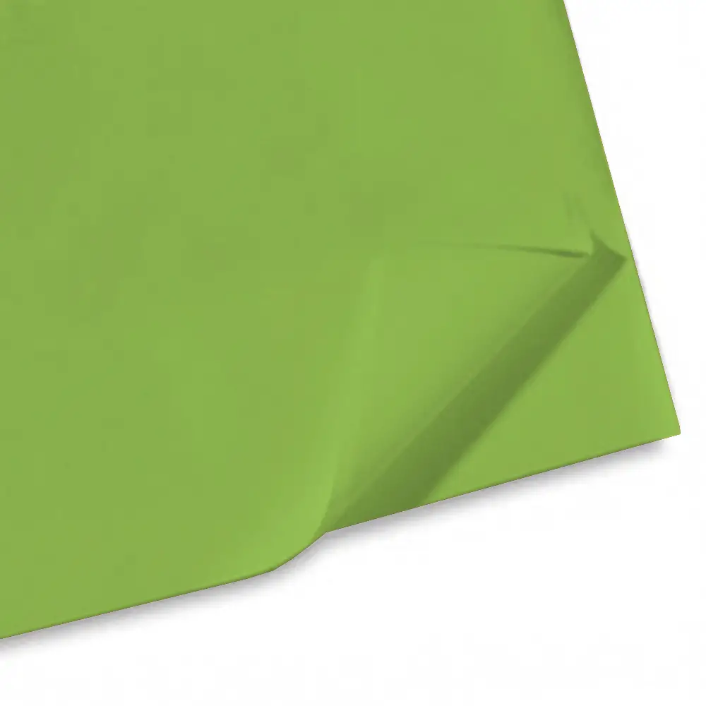 Carta Velina Giodicrea 50x70 24ff Verde Prato - Alta Qualità - Carta e cartoncino
