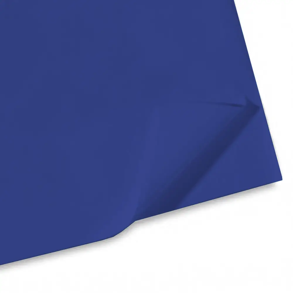 Carta Velina Giodicrea 50x70 24ff Blu - Alta Qualità - Carta e cartoncino