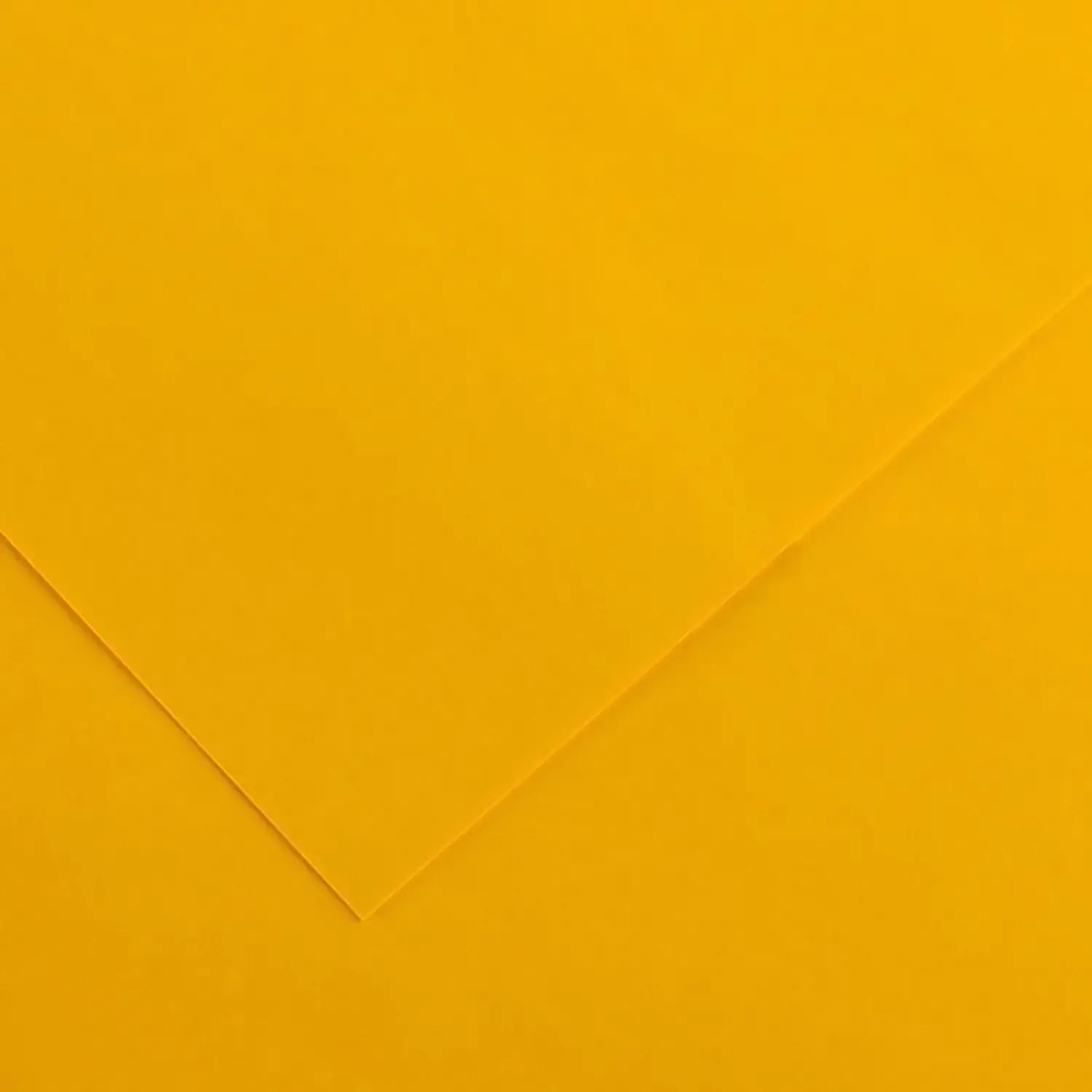 Cartoncino Vivaldi Canson 185 g/m² - 50 Fogli A4 Giallo - Carta e cartoncino