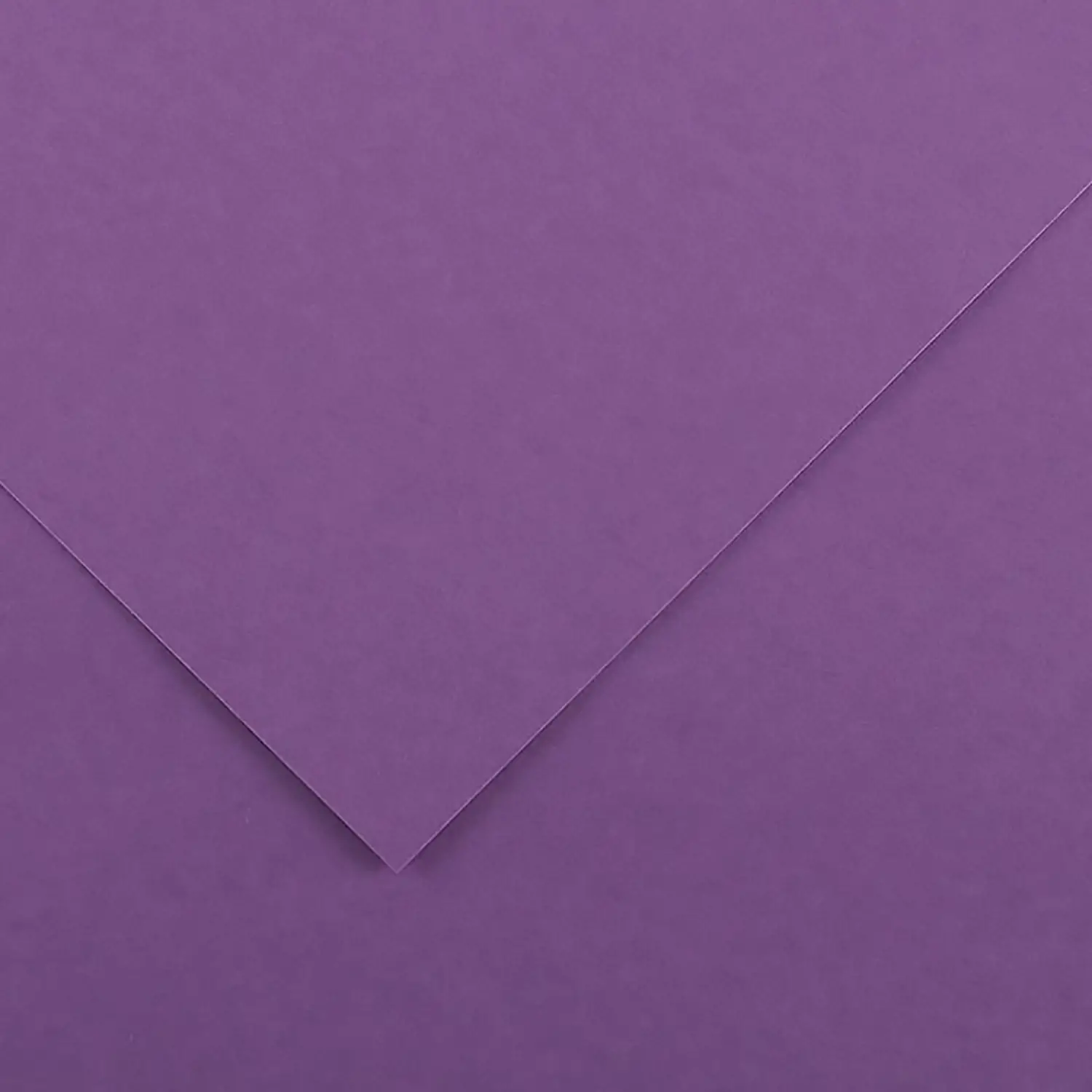 Cartoncino Vivaldi Canson 185 g/m² - 50 Fogli A4 Viola - Carta e cartoncino