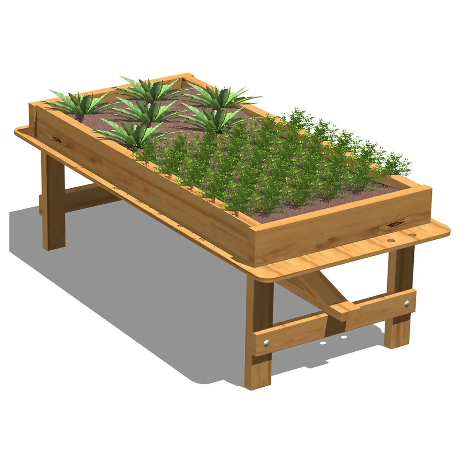Vasca per Orti Didattici in Legno Grande - Giardinaggio