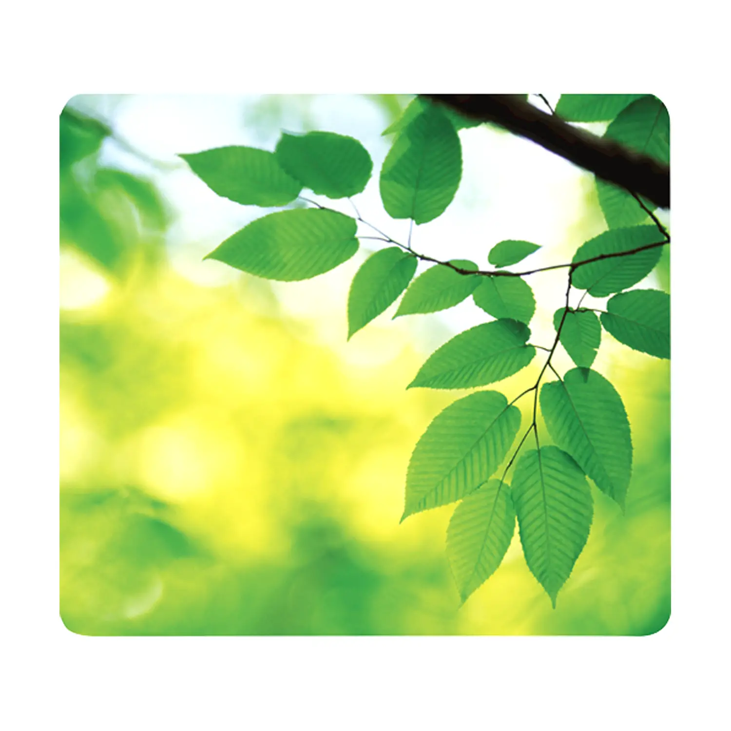 Mousepad Earth Series – Foglie - Accessori ufficio