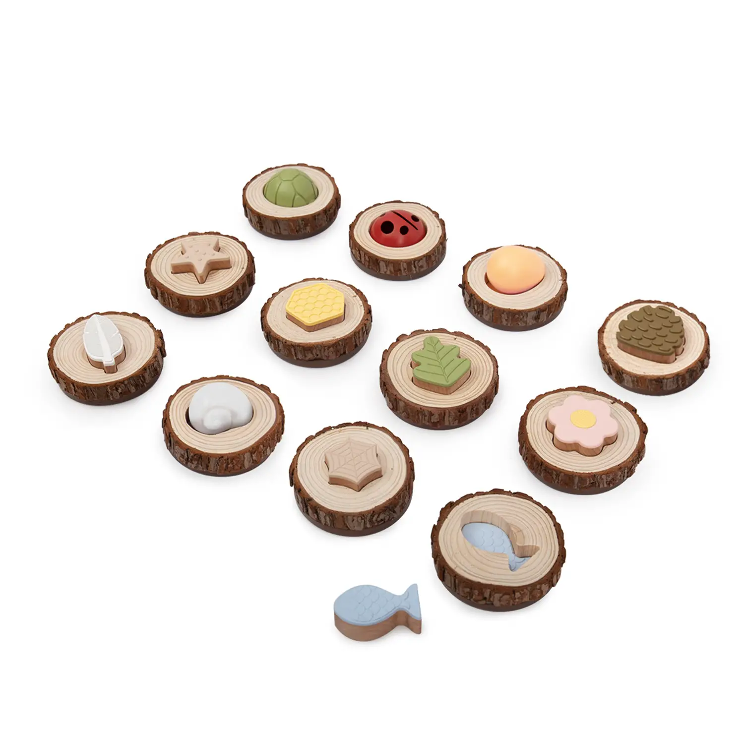 Gioco di Associazione Tattile - Fiori, Pigne, Coccinelle e Pesciolini - Sviluppo sensoriale