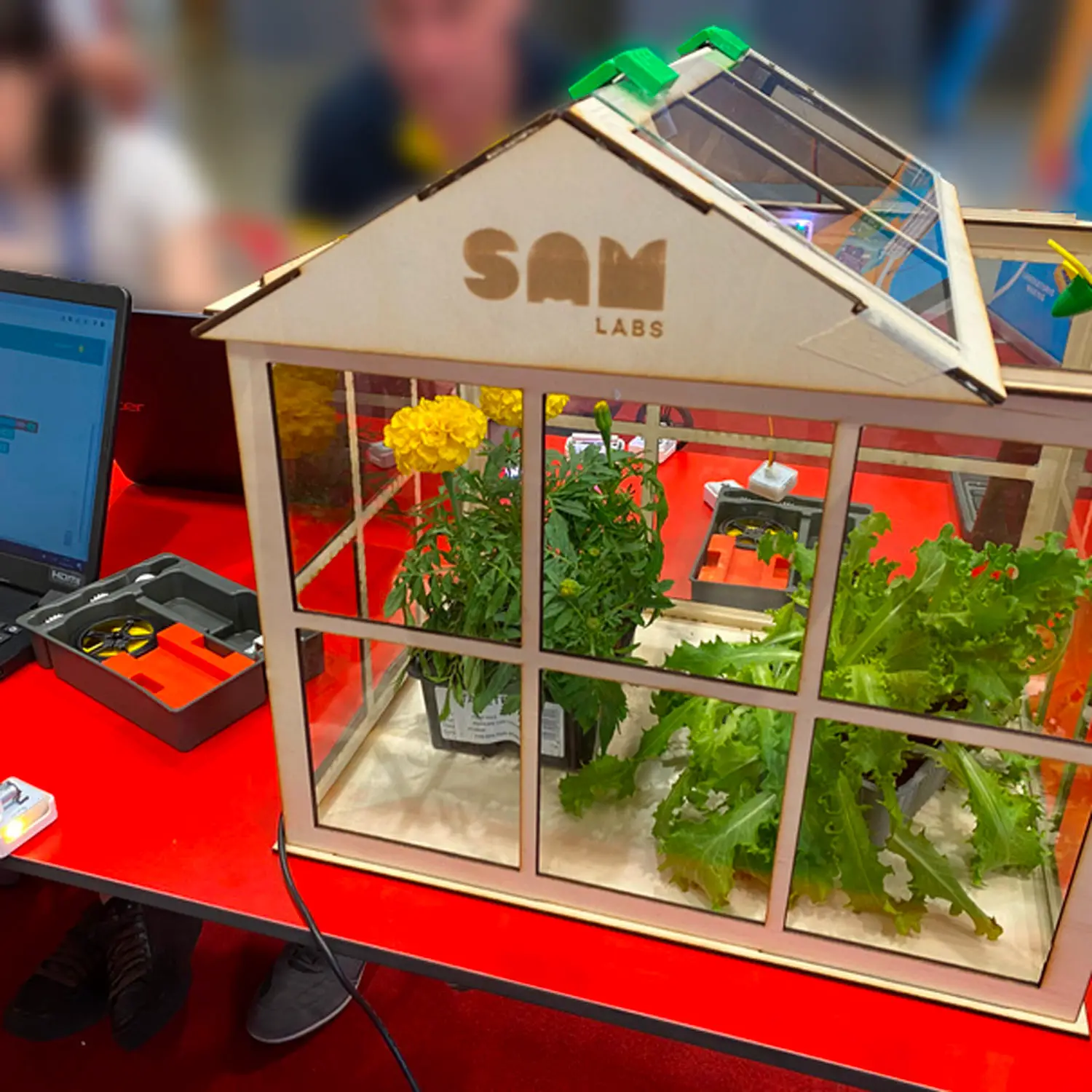 Serre Smart Edugreen Coding SAM Labs Kit 5 Serre - giochi scientifici