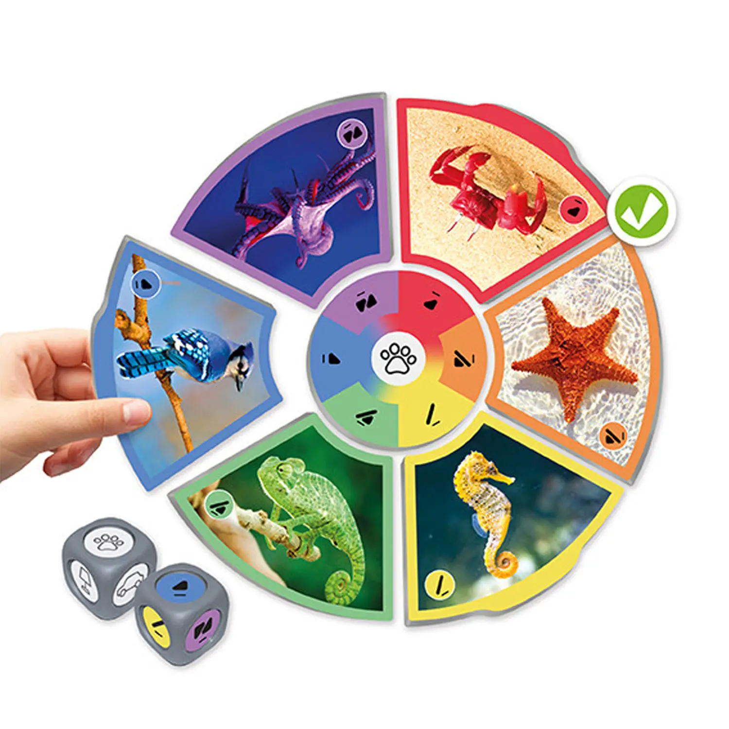 Associazione Logica: Colori Primari e Secondari. Gioco Inclusivo - Associazioni e tombole
