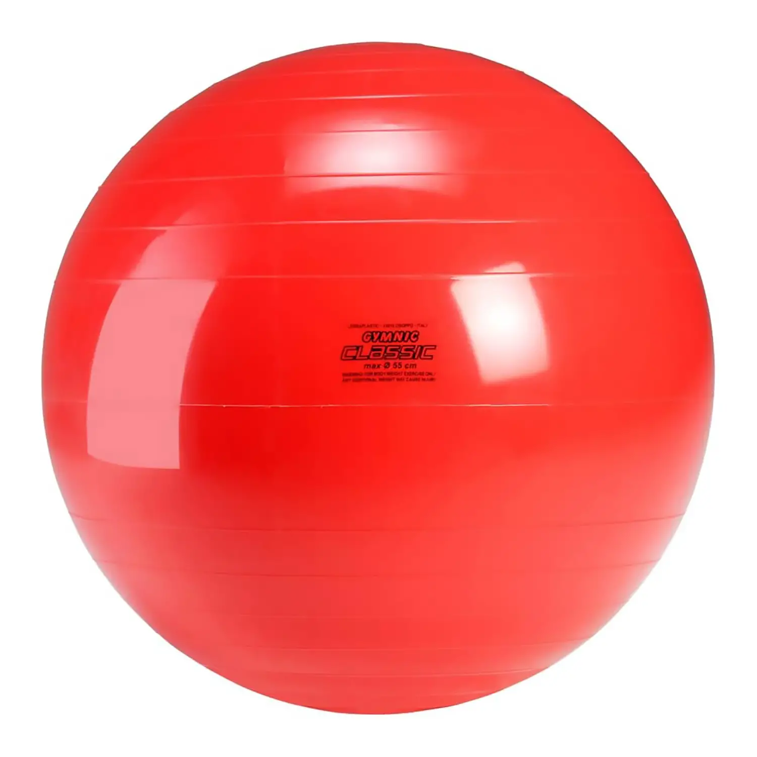 Grande Palla Per Psicomotricità Gymnic Ball cm. 55 - Palle e palloni