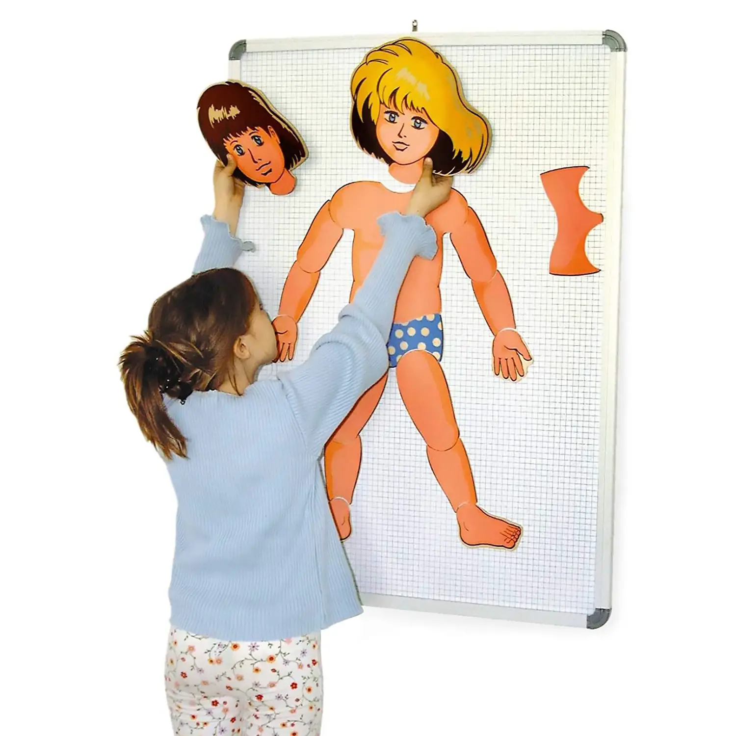 Schema Corporeo Componibile in Legno – 18 Pezzi – Altezza 85 cm - II corpo umano