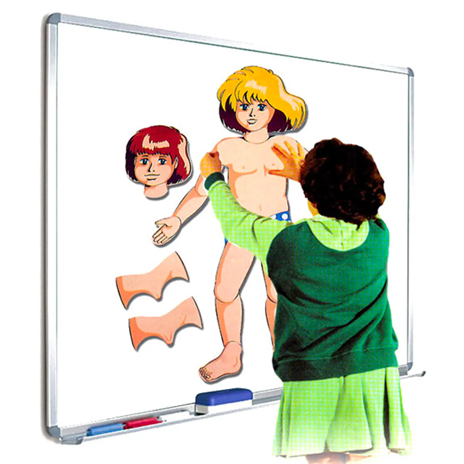 Schema Corporeo con Lavagna e Magneti – Set Didattico Completo - II corpo umano