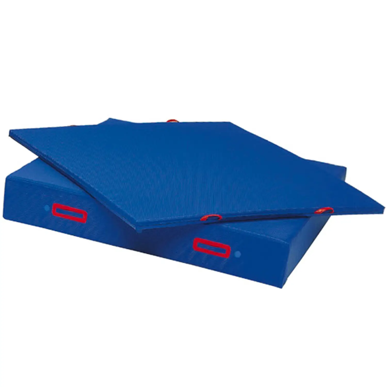 Materasso Ginnico Antisdrucciolo 200x200 cm – H 20 cm | Professionale, Ignifugo e Lavabile - Tappeti e materassi