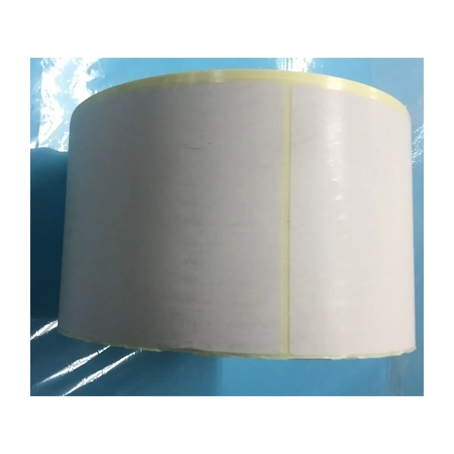 Etichette Termiche 104x155 mm – Bobina da 1000 Pezzi - Accessori ufficio