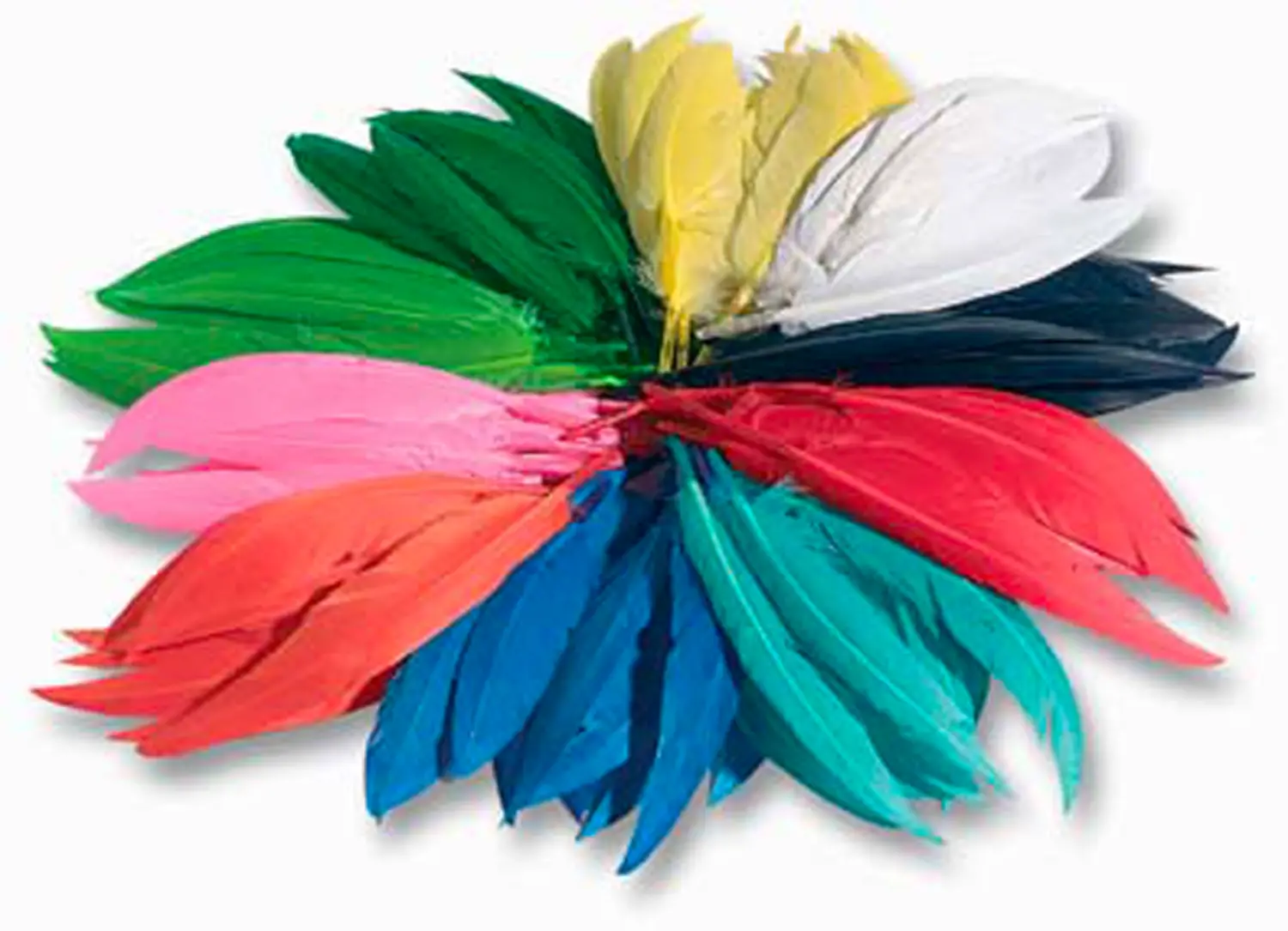 Piume Indiane 12/20cm. 100gr - Applicazioni e decori