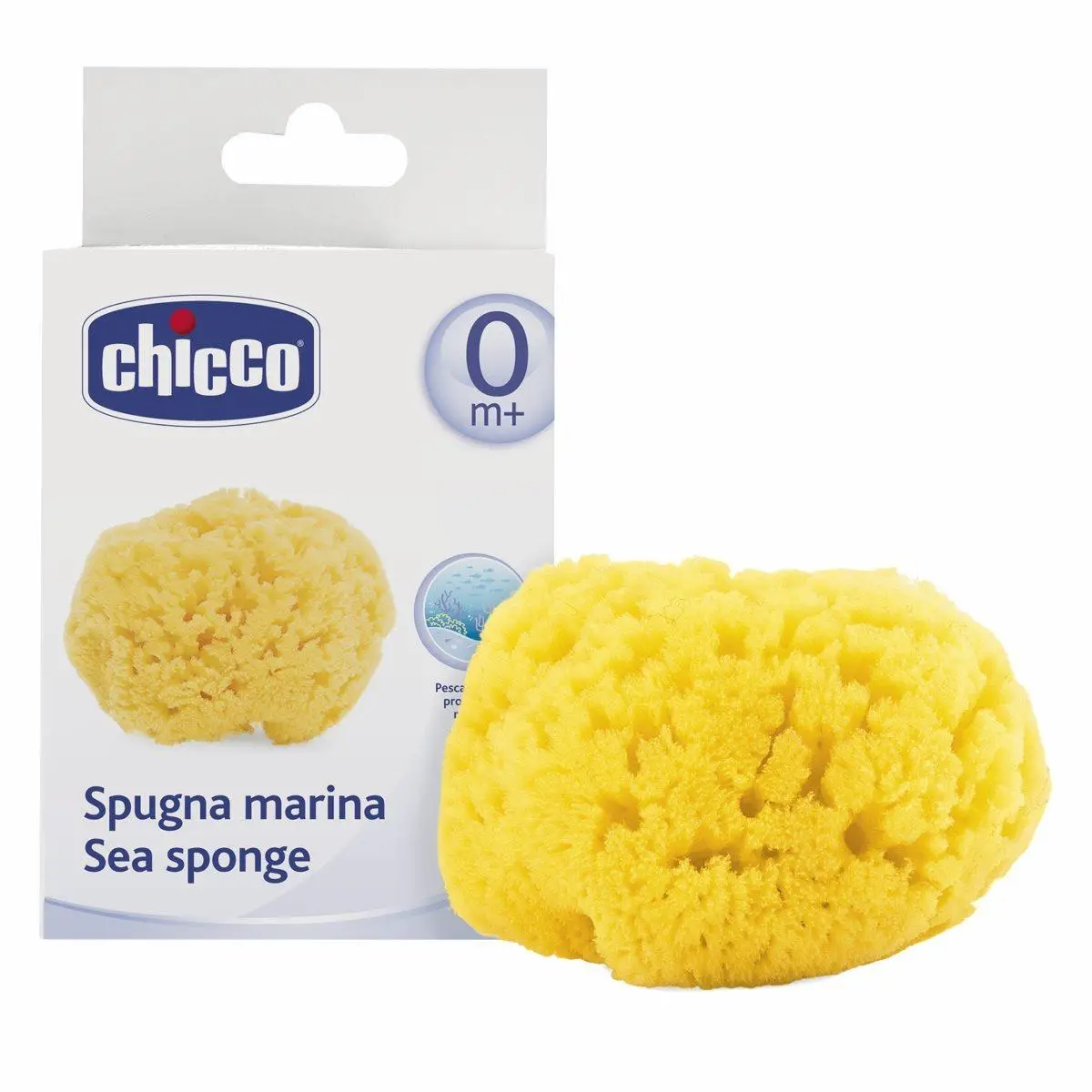 Spugna Marina Media - igiene