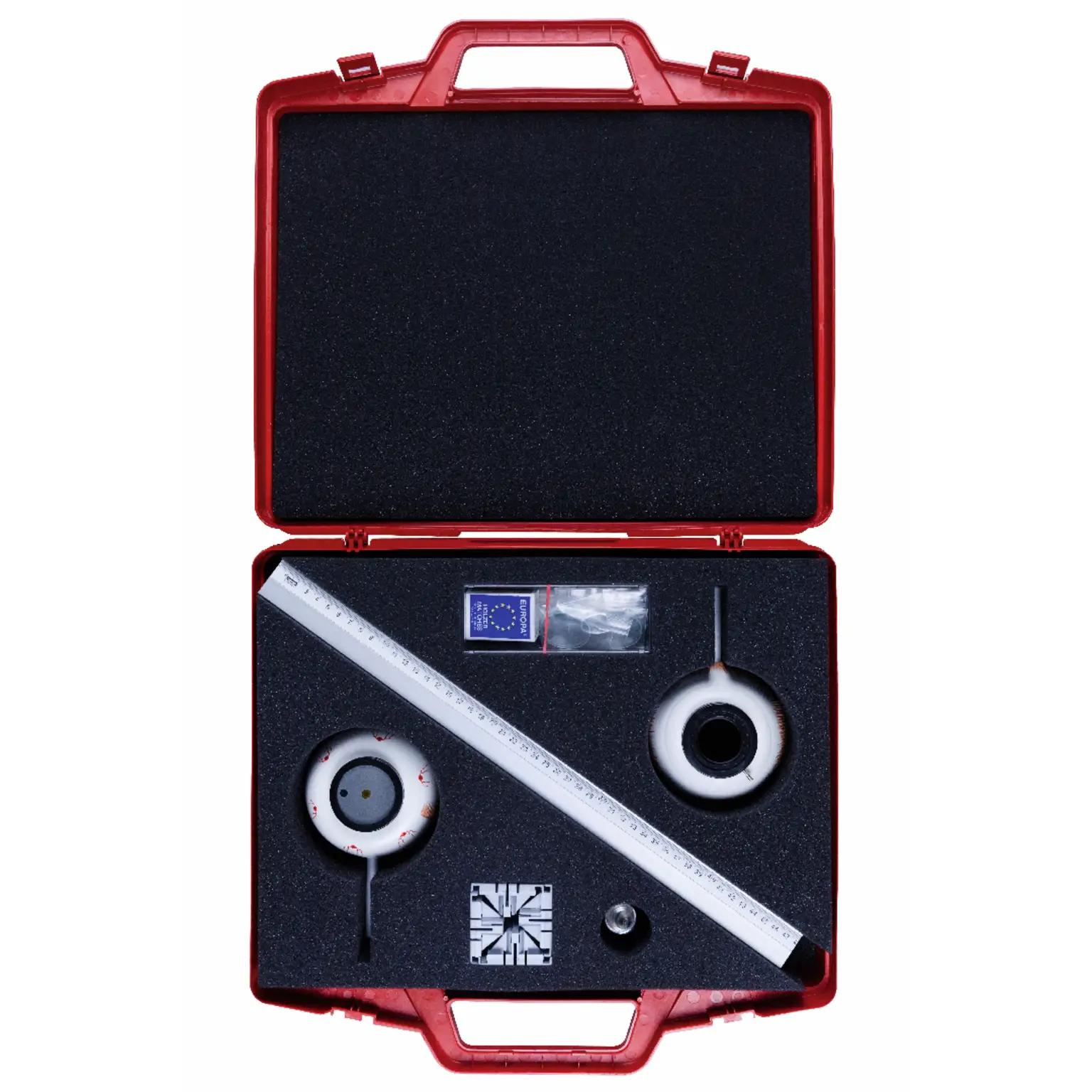 Kit Modello Di Occhio Umano – Funzioni dell’Occhio e Problemi Visivi - Laboratori