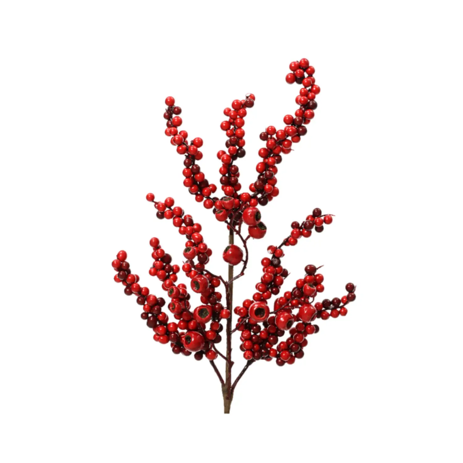 Ramo Bacche Rosse - fiori e ghirlande