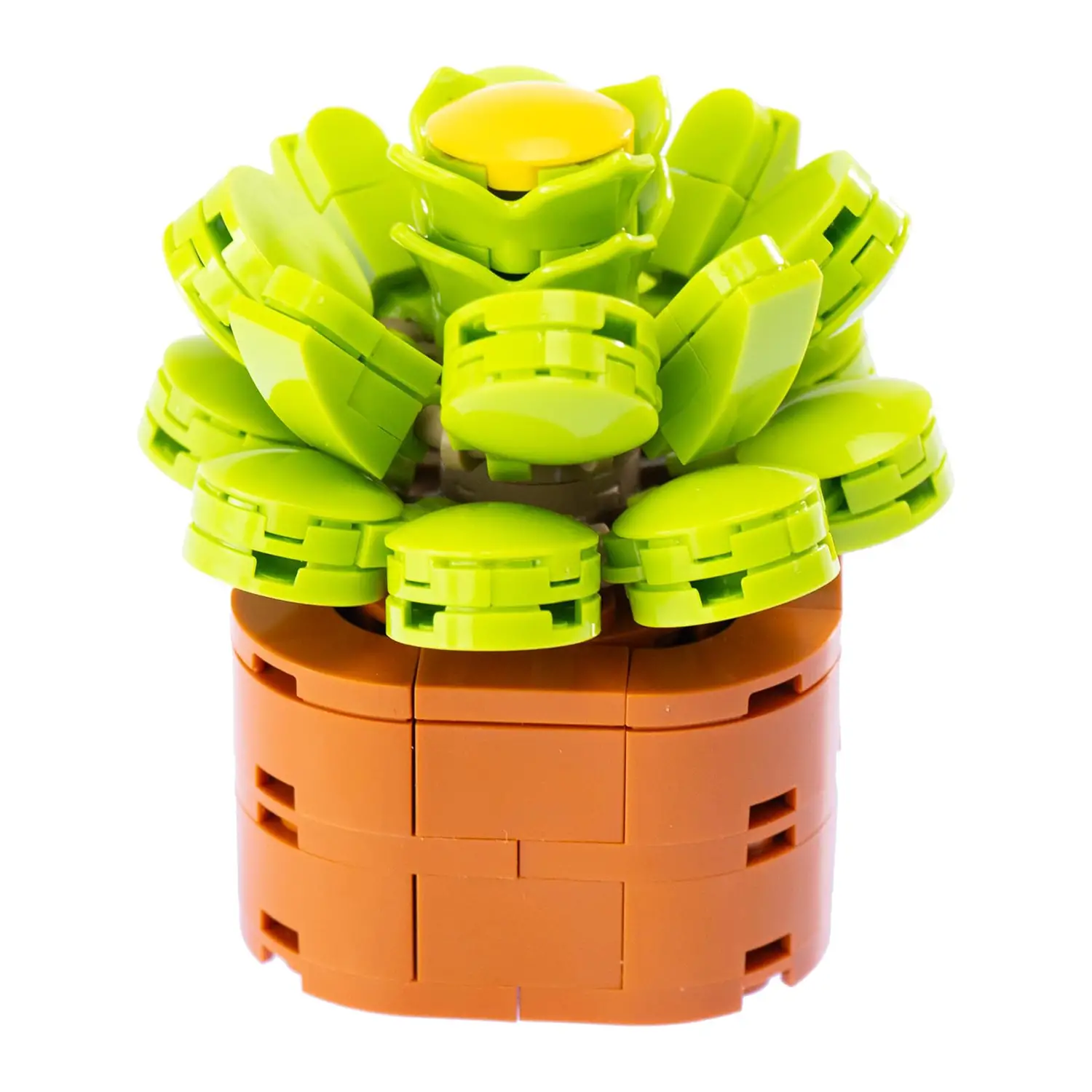 Mattoncini Pianta Esotica Aeonium Canariens 78044 - tematiche