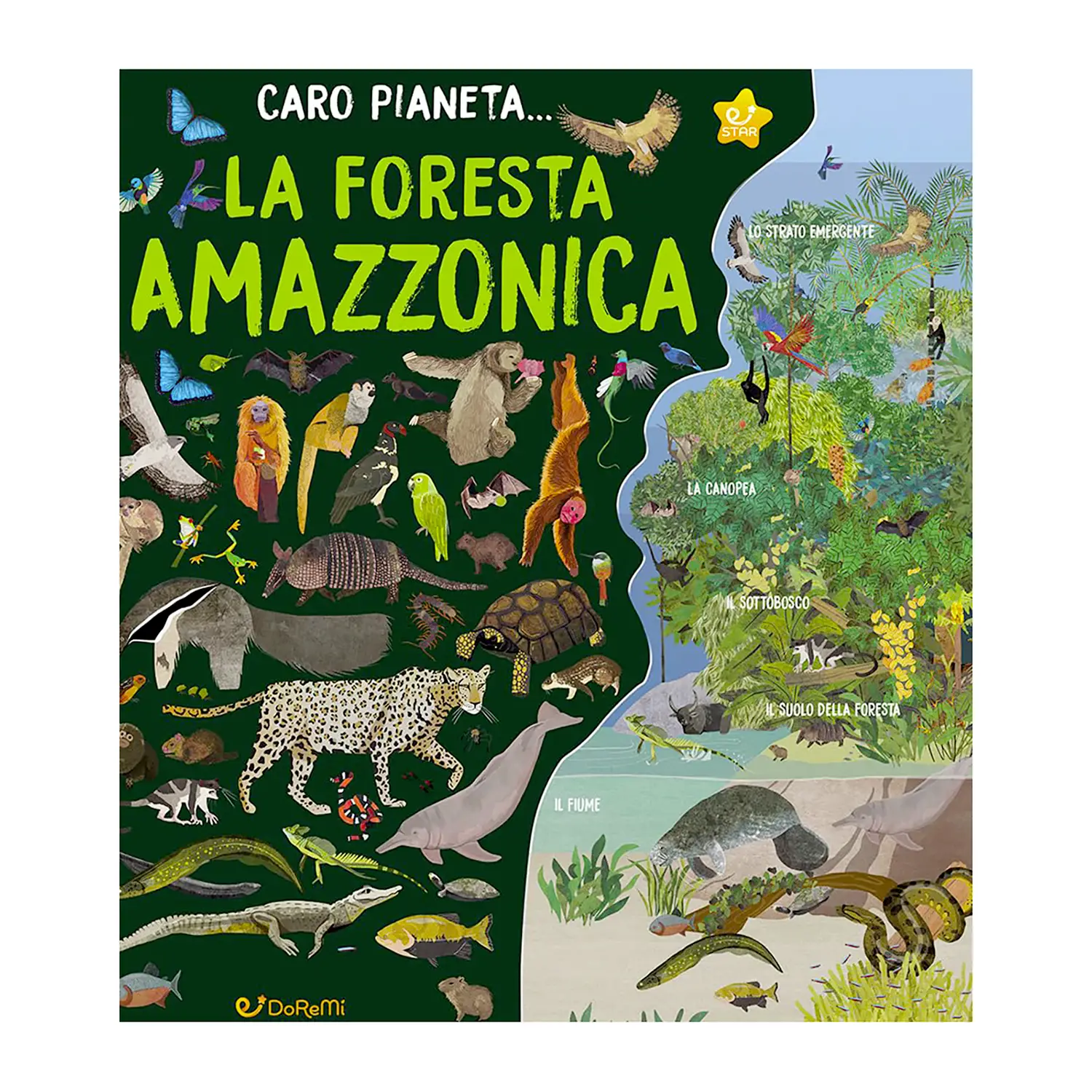 Caro Pianeta: La Foresta Amazzonica - Prima biblioteca