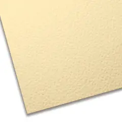 Cartoncino Colorato Premium Liscio Ruvido Cm. 50x70 Panna