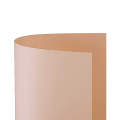 Cartoncino Bristol Liscio 200 gr - 25 Fogli 50x70 cm - Salmone