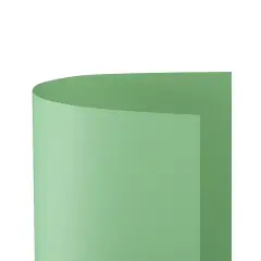 Cartoncino Bristol Liscio 200 gr - 25 Fogli 50x70 cm - Verde Chiaro