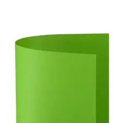 Cartoncino Bristol Liscio 200 gr - 10 Fogli 70x100 cm - Pistacchio