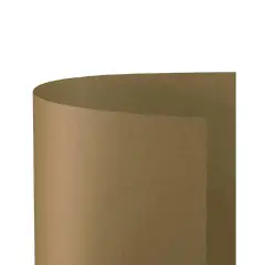 Cartoncino Bristol Liscio 200 gr - 10 Fogli 70x100 cm - Camoscio