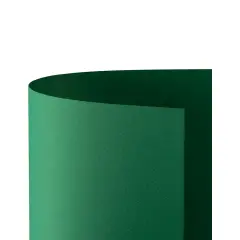 Cartoncino Prisma Monoruvido 220 gr - 20 Fogli 50x70 cm - Verde