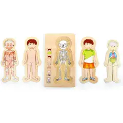 Puzzle a Strati Anatomia Ragazzo – Gioco Educativo