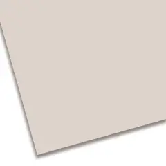 Cartoncino Colorato Premium Liscio cm. 50x70 Grigio