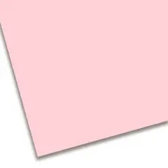 Cartoncino Colorato Premium Liscio cm. 50x70 Rosa