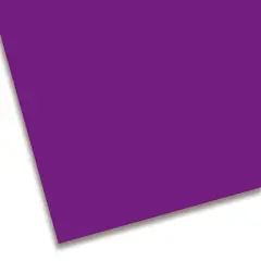 Cartoncino Colorato Premium Liscio cm. 50x70 Viola