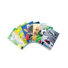 Quaderno Maxi per Bambini Fantasie Assortite: 80 g, Rigatura 10 mm per Prima e Seconda Elementare