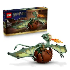 LEGO Harry Potter Norberto: Il cucciolo di drago di Hagrid 76477
